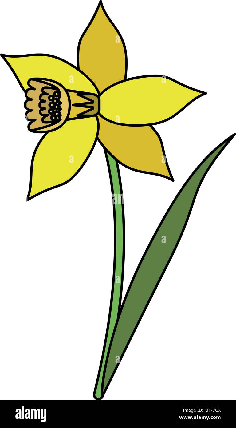 Beautiful flower plant Stock Vector Image & Art - Alamy