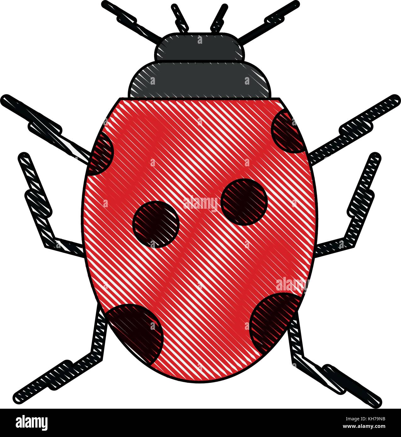 Cute ladybug insect Stock Vector Image & Art - Alamy