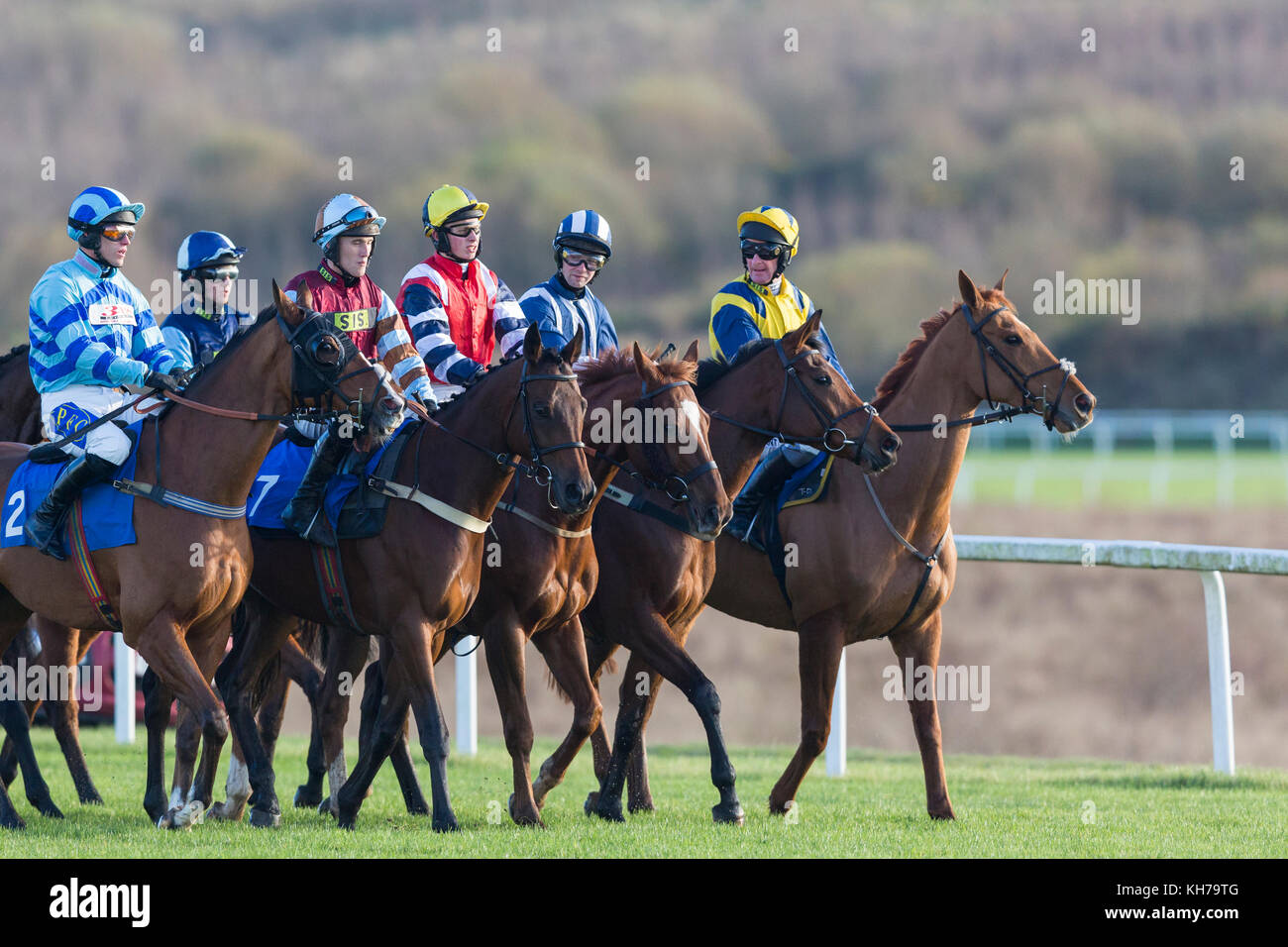 Jockeys and horses prepare to start a race at Ffos Las, Trimsaran, Carmarthenshire, Wales wearing bright, colourful racing colours / racing silks Stock Photo
