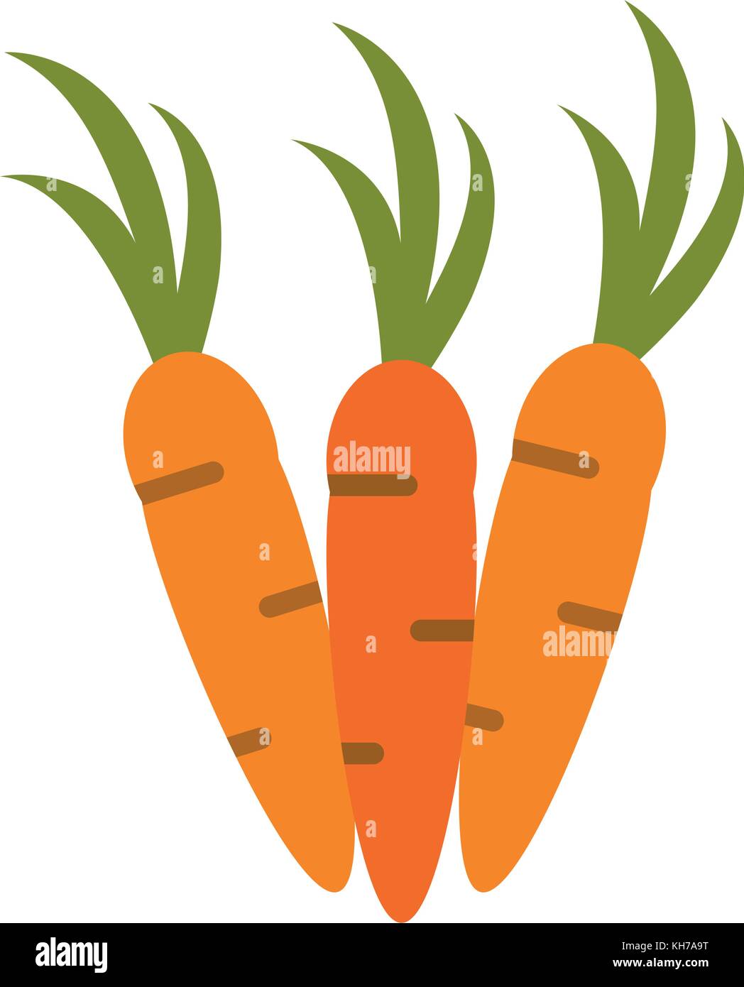 Fresh carrot vegetable Stock Vector Image & Art - Alamy
