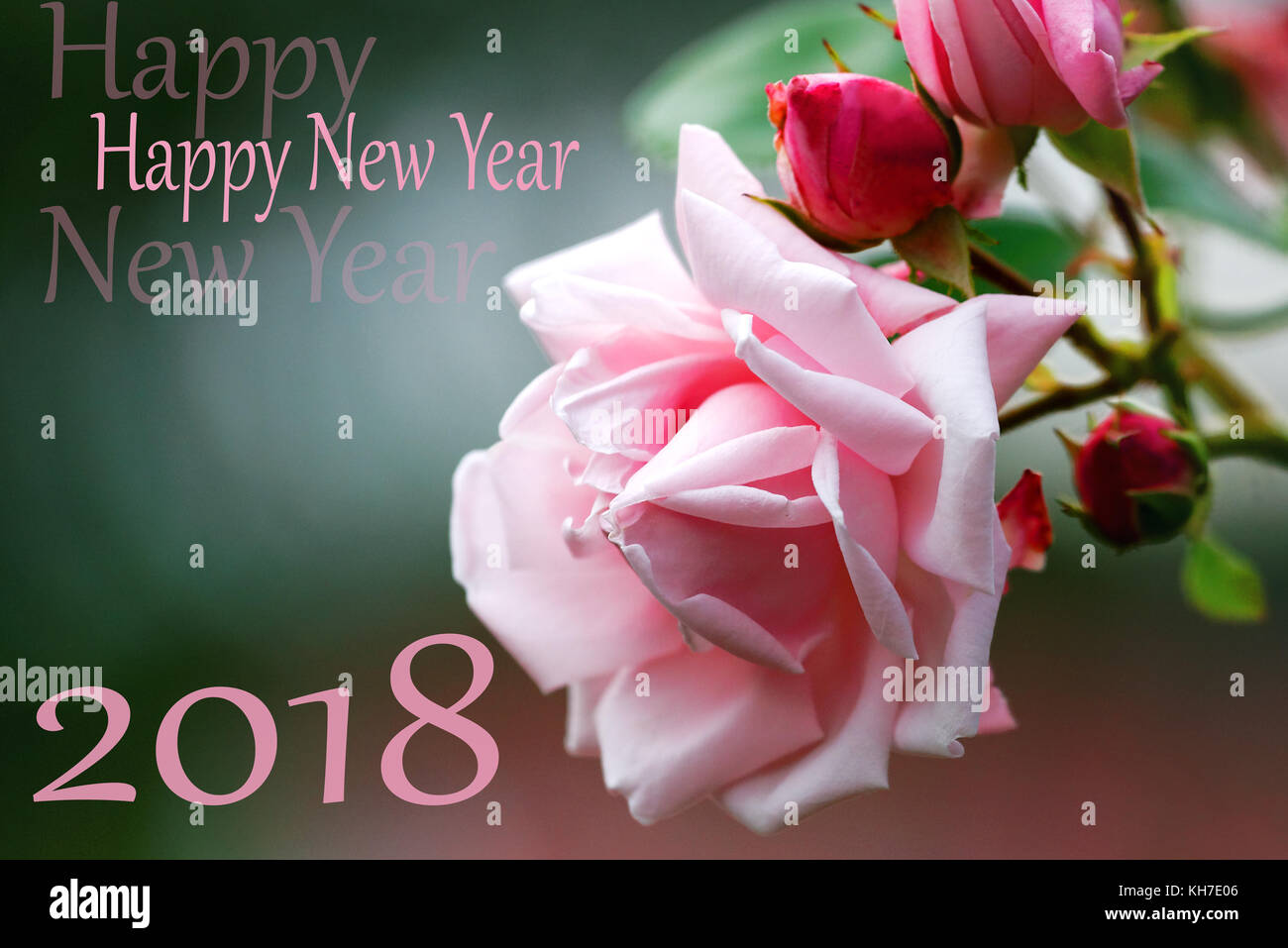 Symbol from number 2018 on of pink rose background. Happy New Year ...