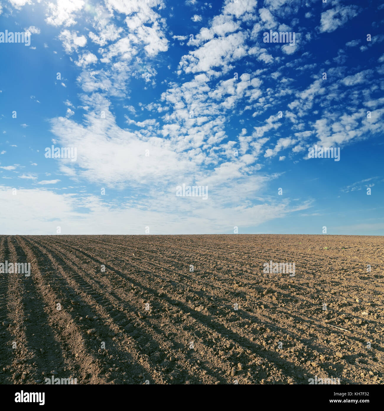 Texture cultivated field blue hi-res stock photography and images - Alamy