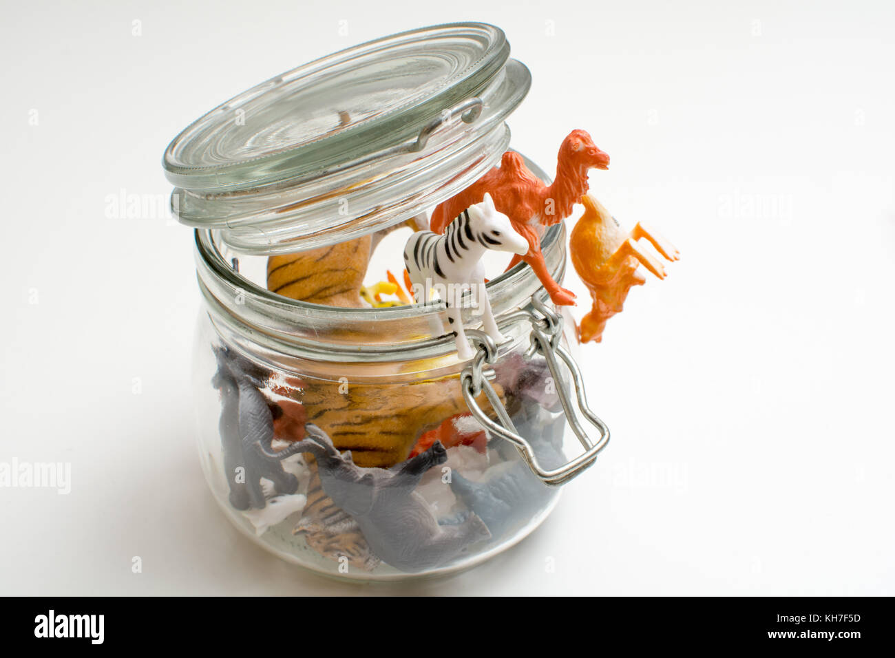 Wild animals in captivity concept of safari animals in a jar Stock