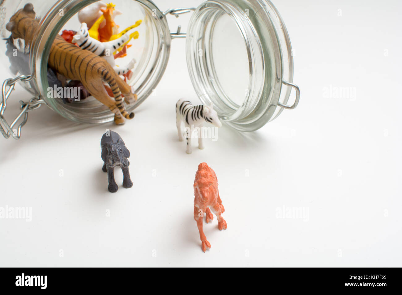 Wild animals in captivity concept of safari animals in a jar Stock