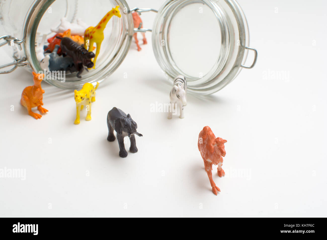 Wild animals in captivity concept of safari animals in a jar Stock