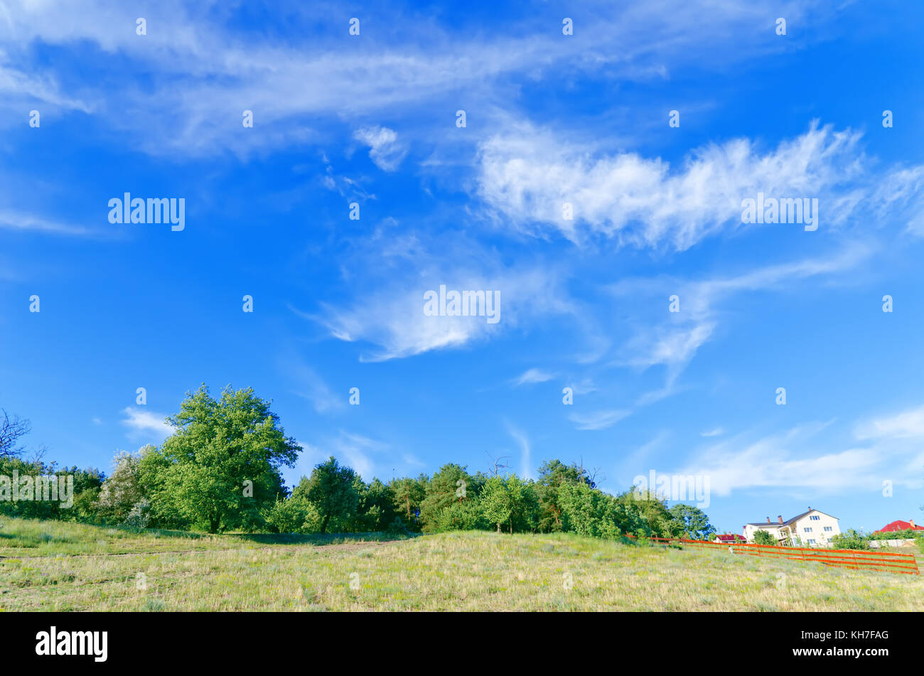 summer landscape of green forest with bright blue sky Stock Photo - Alamy