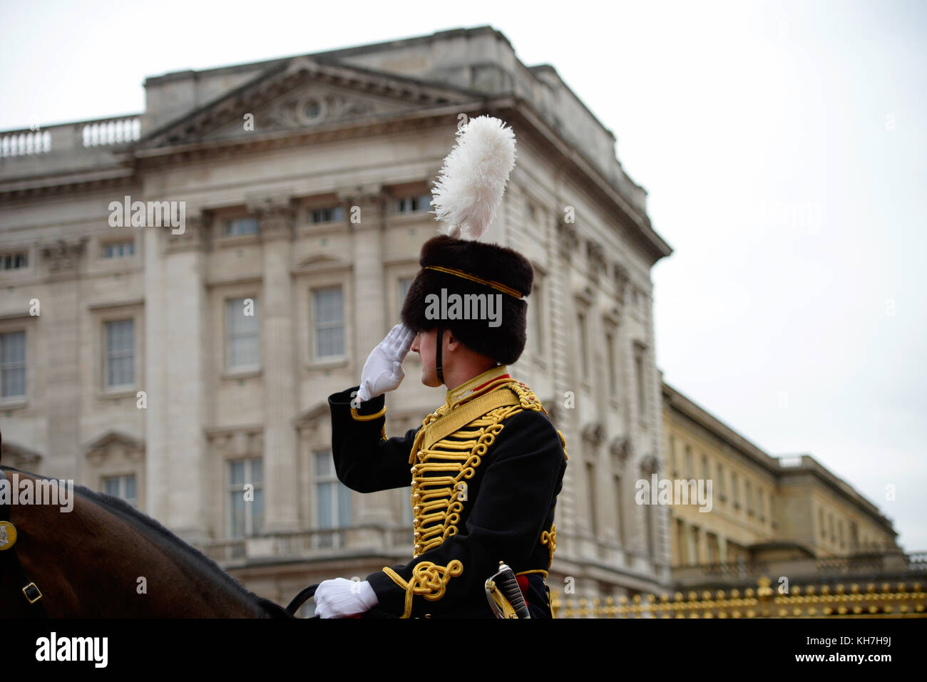 The Kings Troop Royal Horse Artillery carried out a 41 gun salute for the Prince of Wales' 69th birthday in Green Park, London close to Buckingham Palace Stock Photo