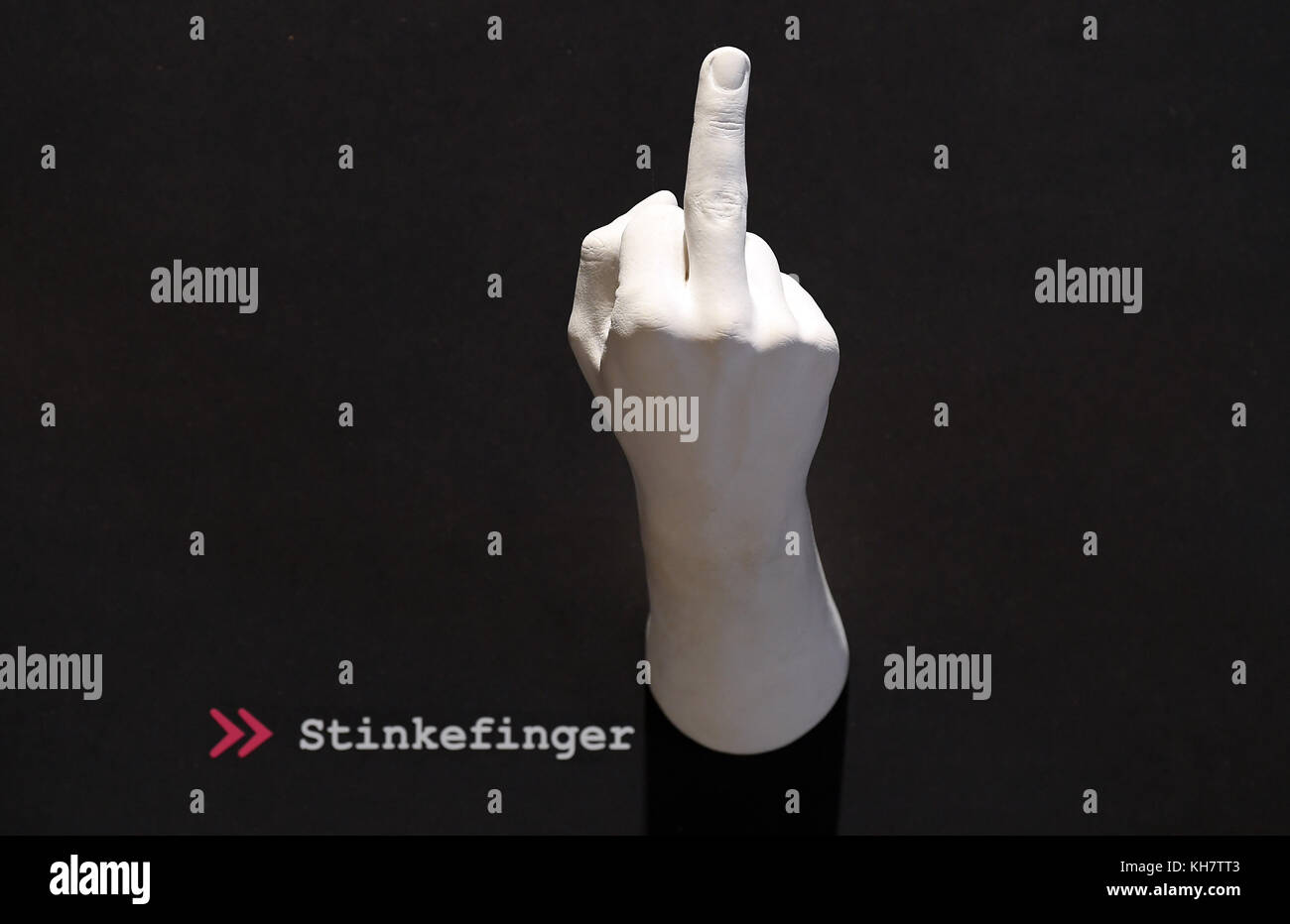 The gesture 'Stinkefinger' (lit. middlefinger) is demonstrated by a plaster  hand at the Industriemueseum (lit. Industry Museum) in Chemnitz, Germany,  15 November 2017. From 17 November onwards, the museum concentrates on  gesture