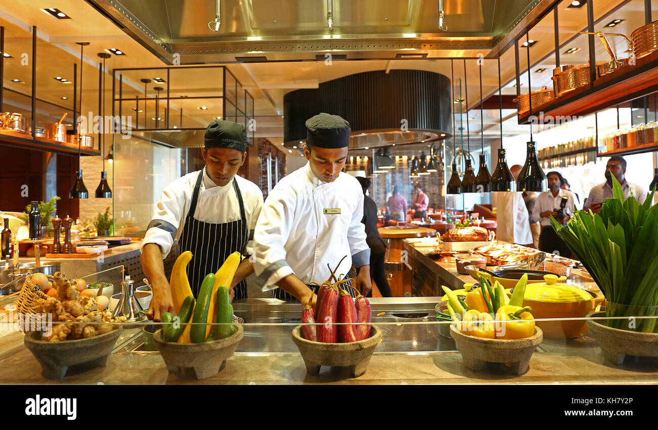 Colombo, Sri Lanka. 16th Nov, 2017.Sri Lankan chefs prepare food at