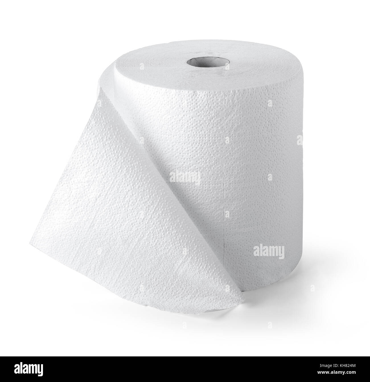 Simple toilet paper on white background with clipping path Stock Photo