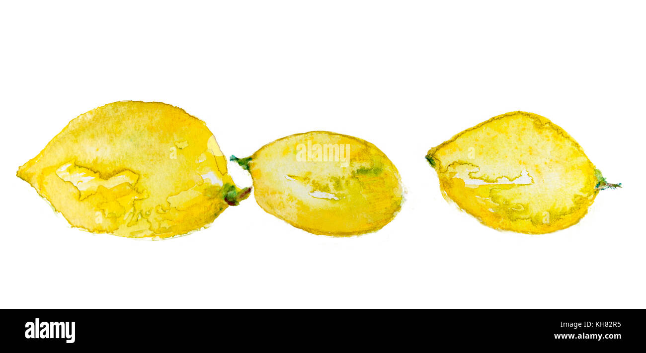 Three lemons separated from each other by white space in a watercolour style painting on a white background Stock Photo