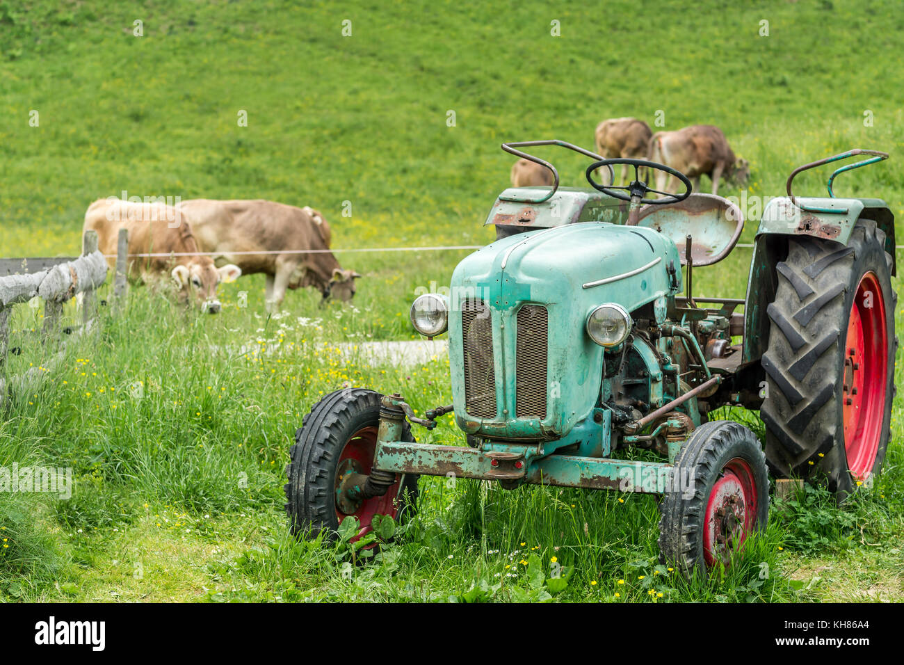 Tractor cows hires stock photography and images Alamy