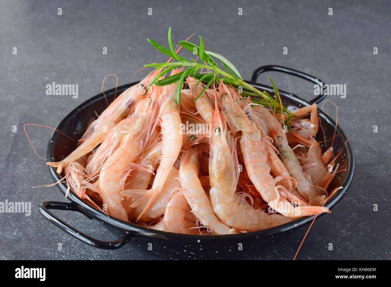 Raw fresh shrimps in a black metal bowl with rosemary on a grey background. Mediterranean lifestyle. Healthy food Stock Photo