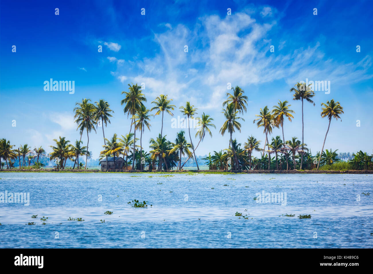 Kerala visual data 3