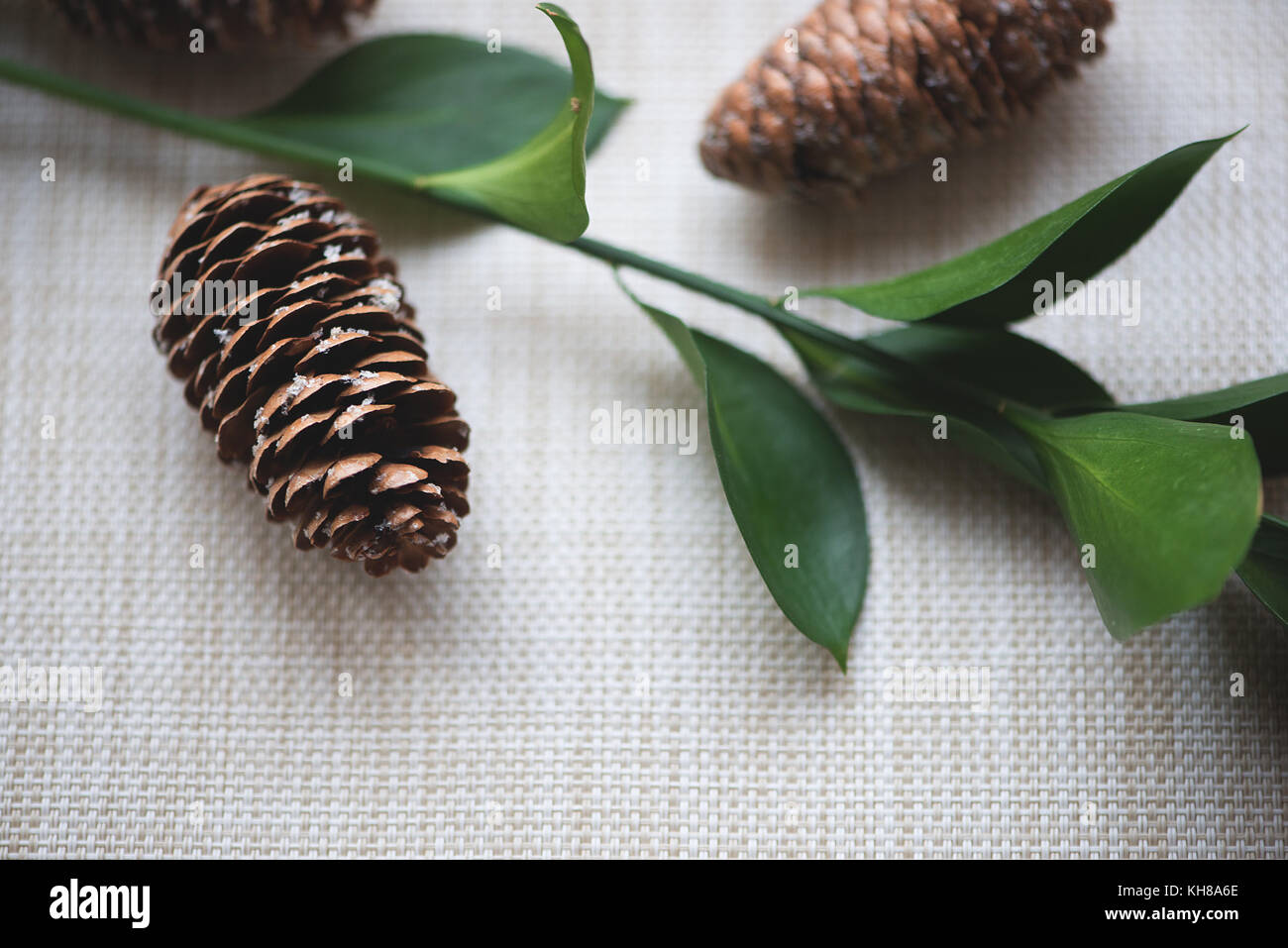 Celebration background with candle and pine cones Stock Photo - Alamy