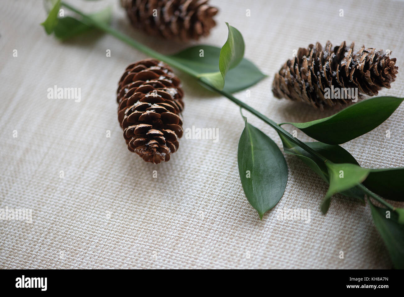 Celebration background with candle and pine cones Stock Photo - Alamy
