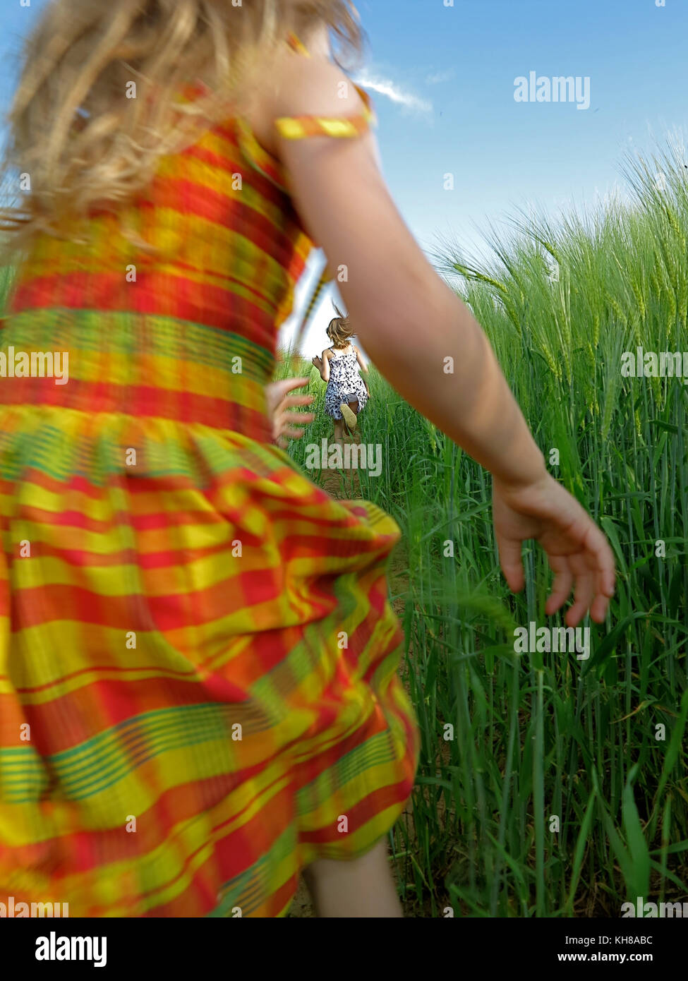 little girl running in a grain field Stock Photo - Alamy
