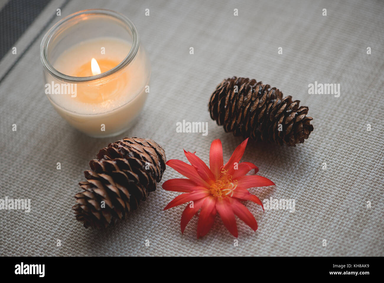 Celebration background with candle and pine cones Stock Photo - Alamy