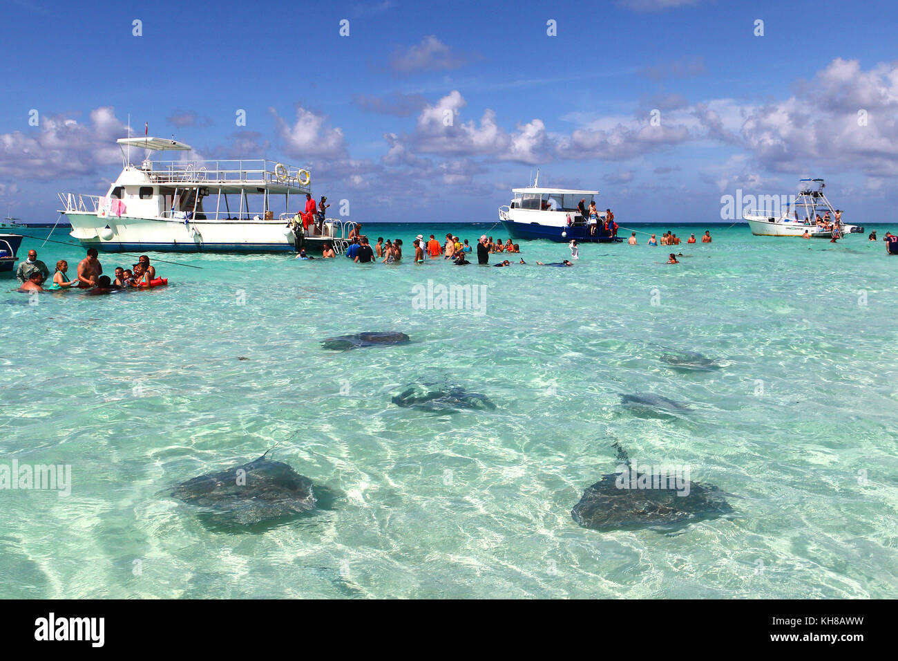 Cayman islands landscape hi-res stock photography and images - Alamy