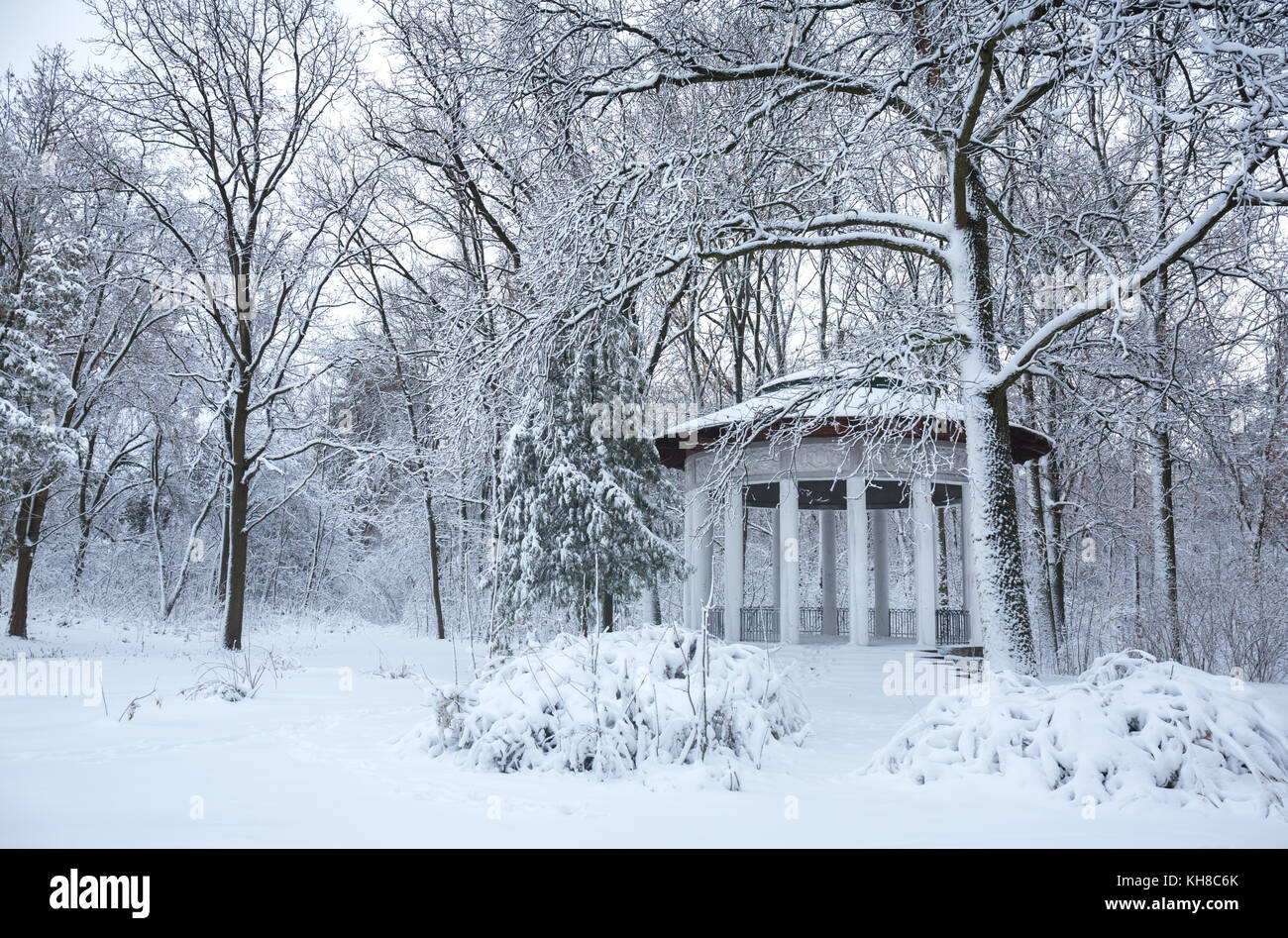 Beautiful winter snowy landscape in the park Stock Photo - Alamy