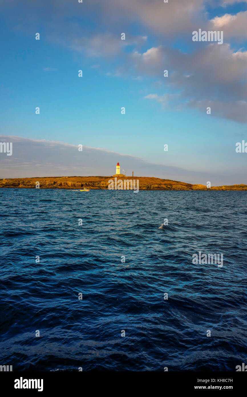 France, Brittany, Finistere, the Glenan islands, lighthouse on the ...