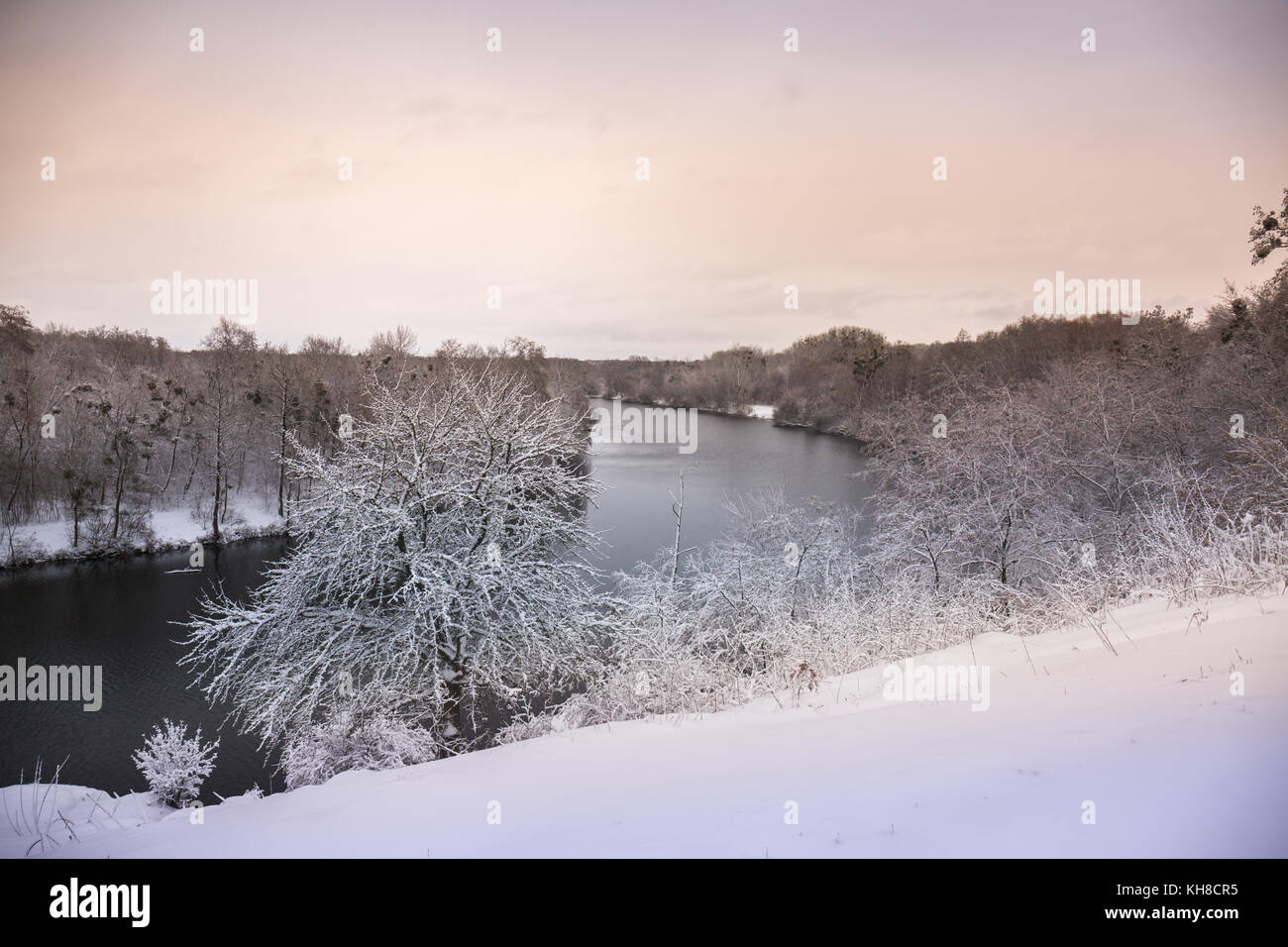 Beautiful winter snowy landscape in the park Stock Photo - Alamy