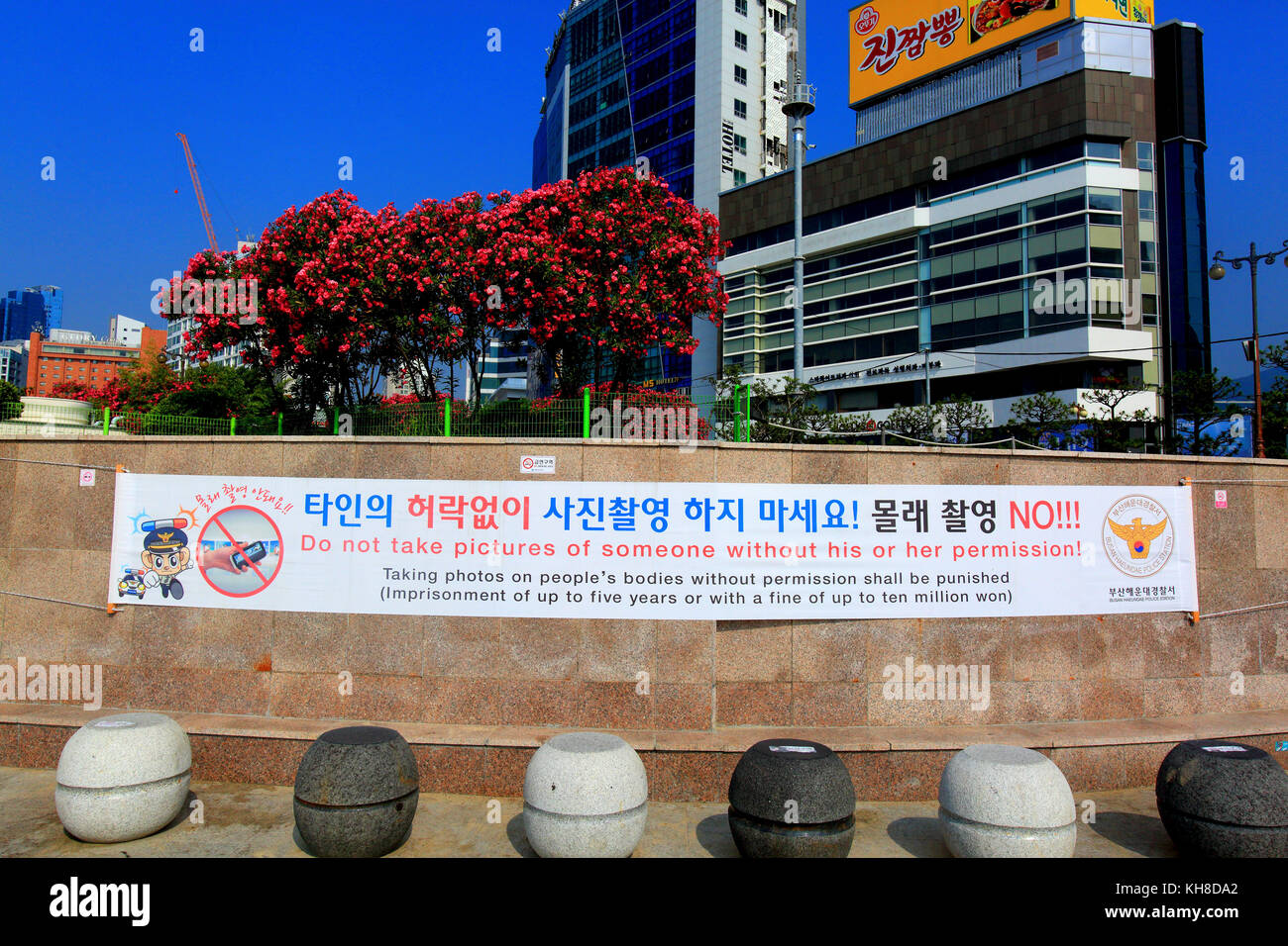 South Korea Busan Haeundae Beach Stock Photo 165528554