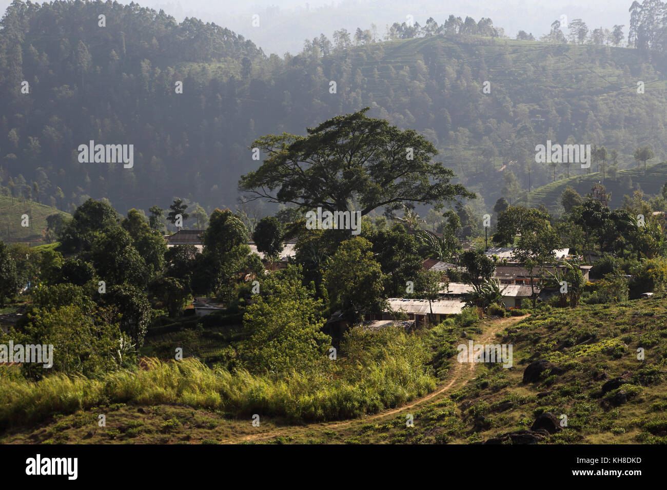Sri lanka rural hi-res stock photography and images - Alamy