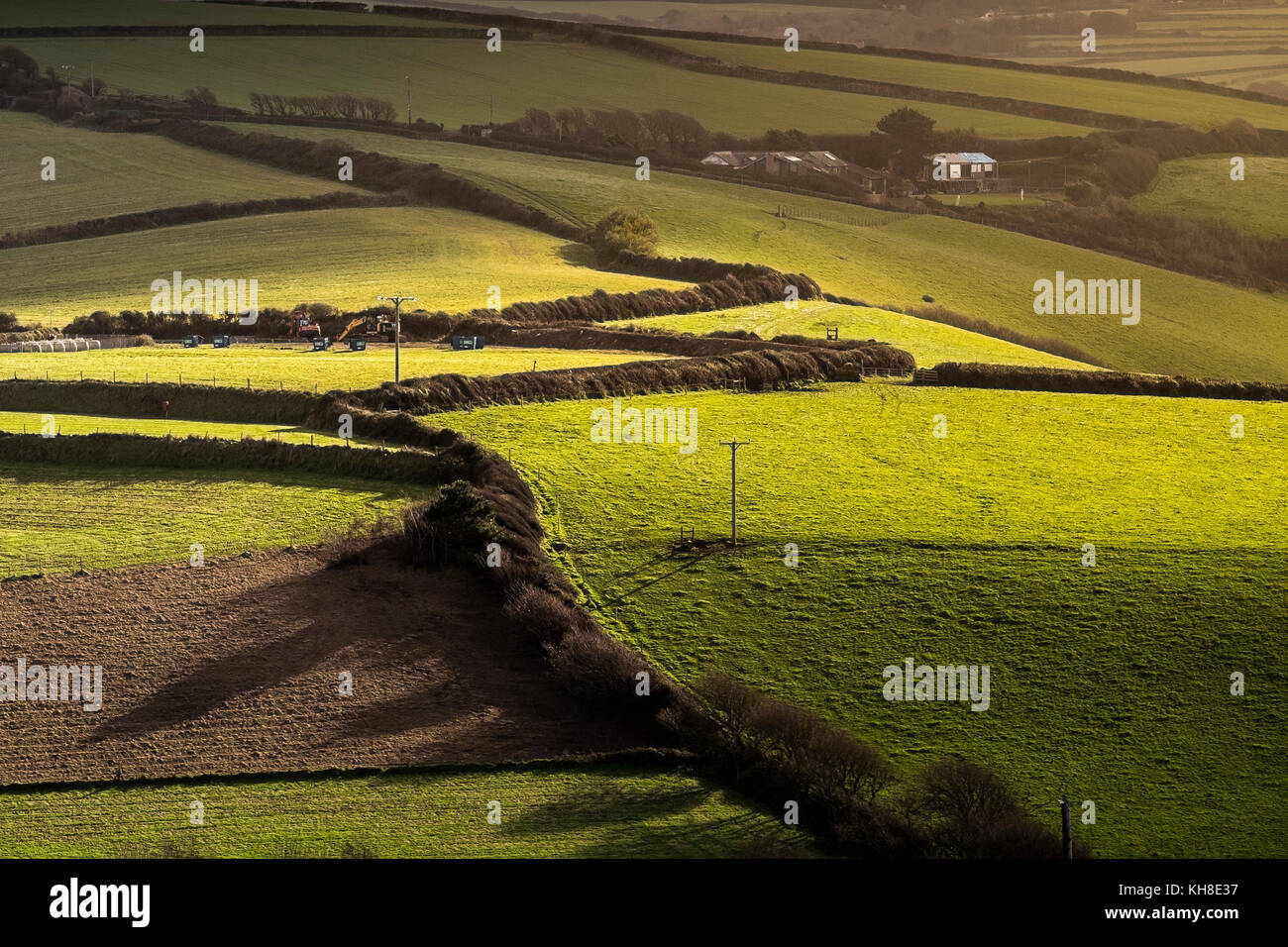 Early morning sunlight over fields in Newquay Cornwall UK. Stock Photo