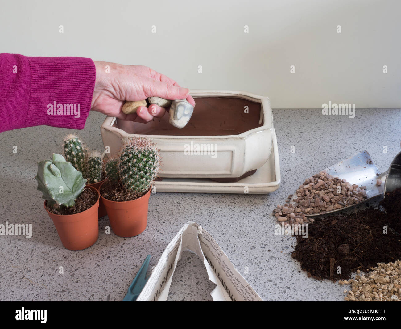 Series to Show Potting up Planter with young Cacti. Ideal childrens project. Step by step