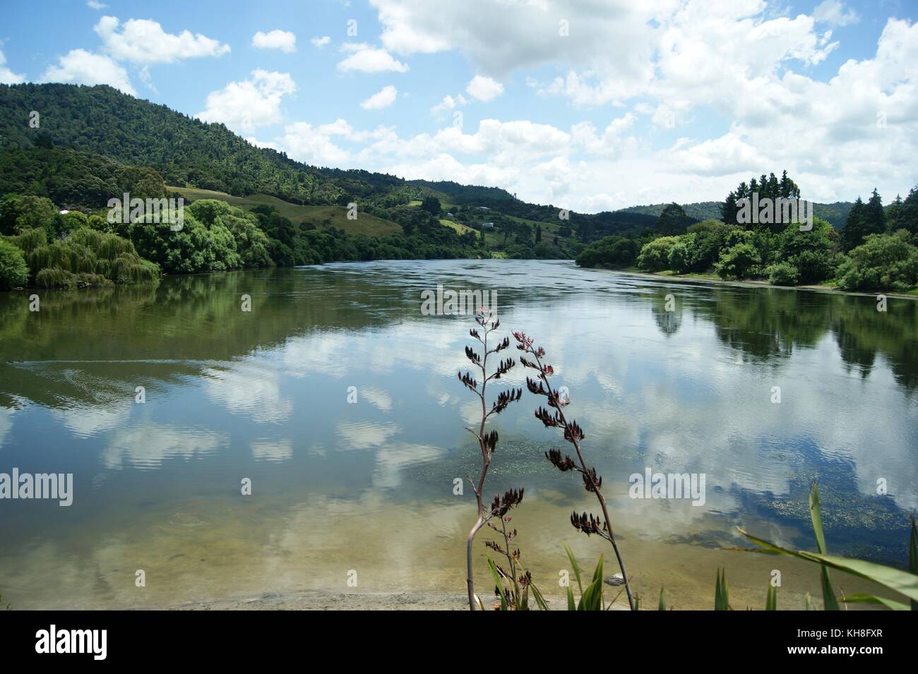 The Waikato River at Ngaruawahia, New Zealand Stock Photo Alamy
