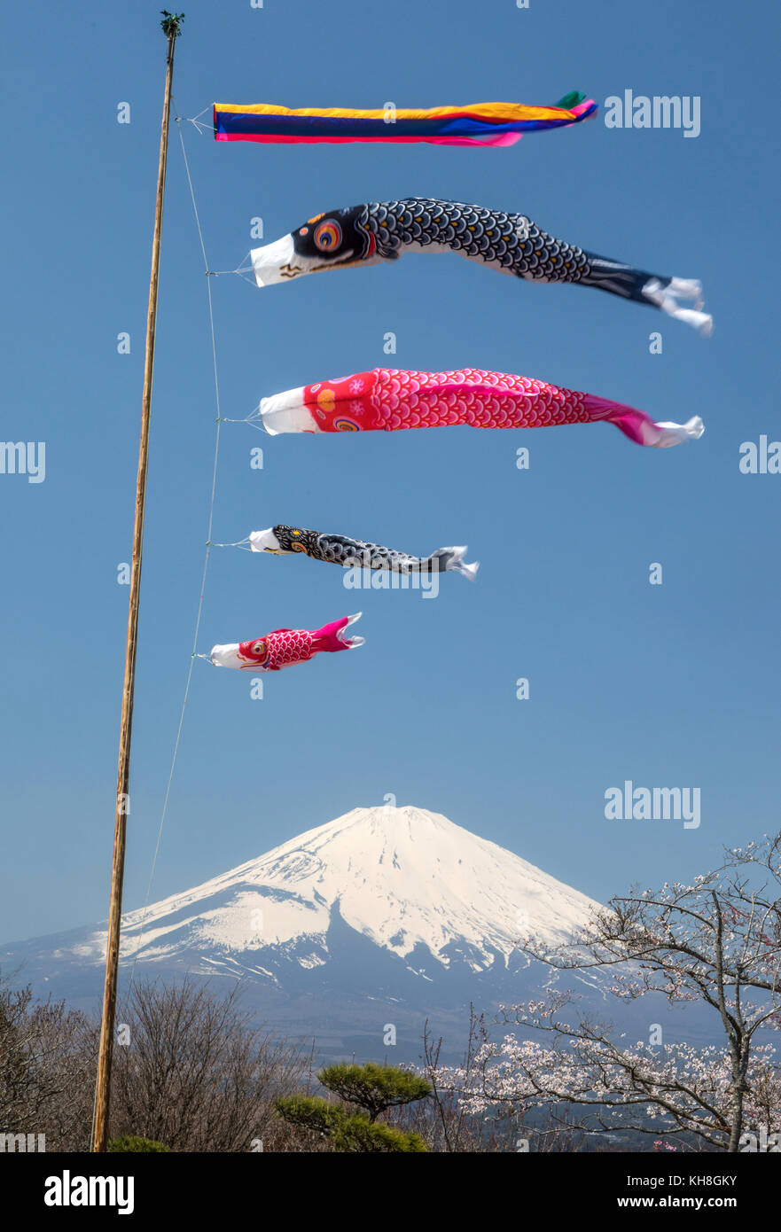 Japan, Goremba City, Koinobori celebration and Mount Fuji *** Local Caption *** children festival, colorful, culture, Fuji, Goremba City, japan, koi,  Stock Photo