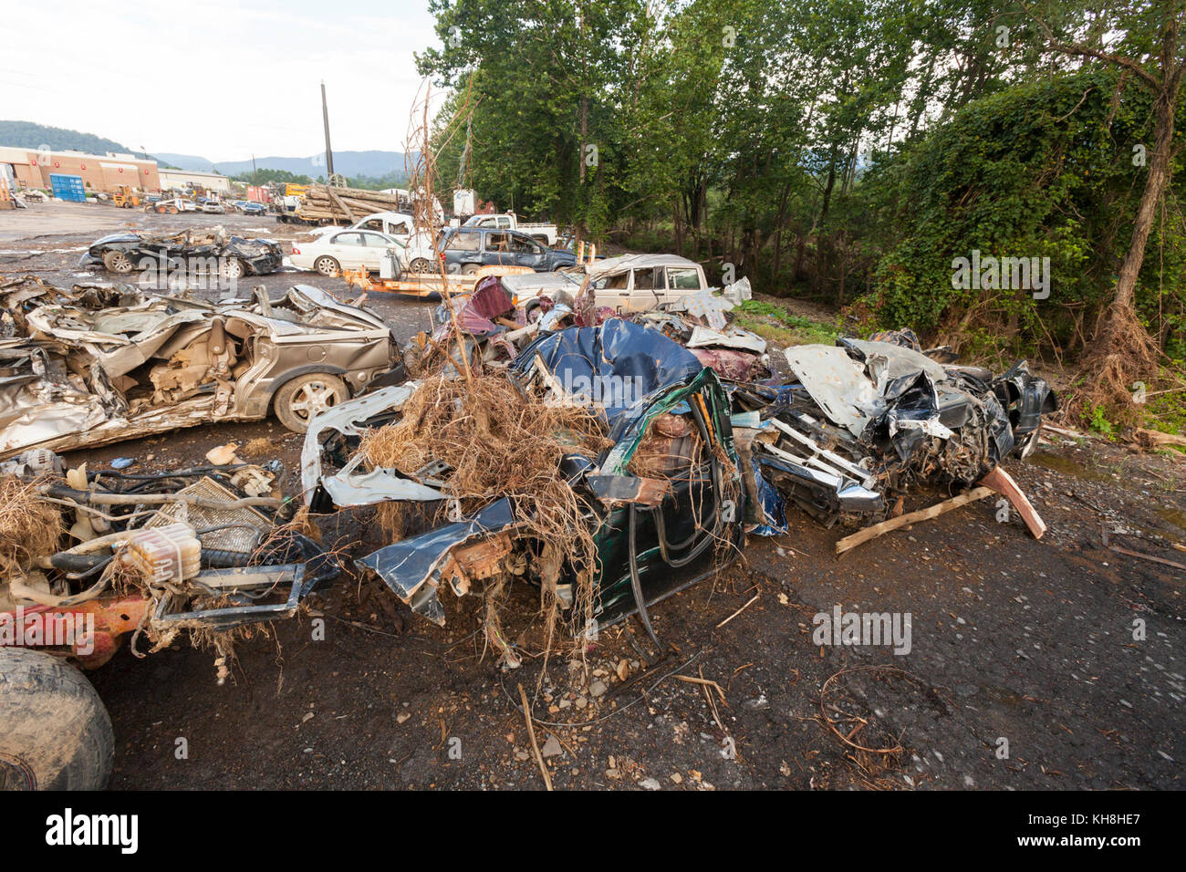 Recent wide-spread flooding is the cause of increased applications for ...