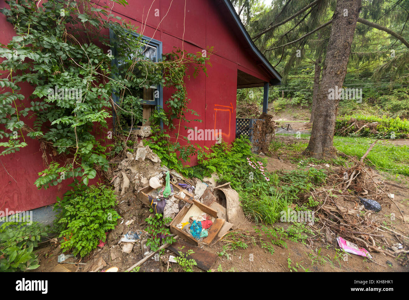 Recent wide-spread flooding is the cause of increased applications for ...