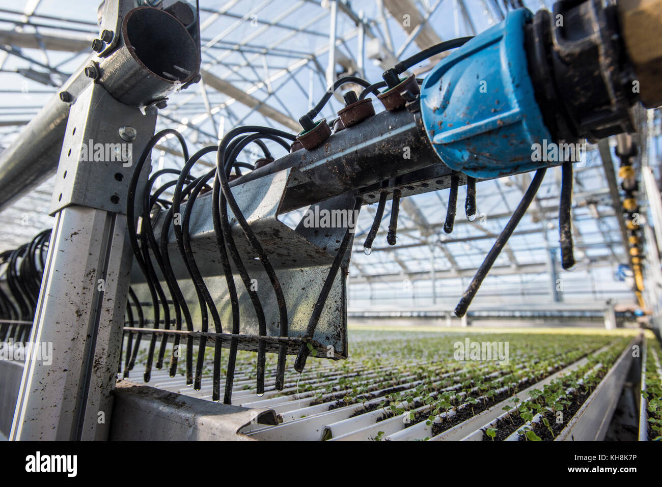 Automated precision irrigation system hires stock photography and