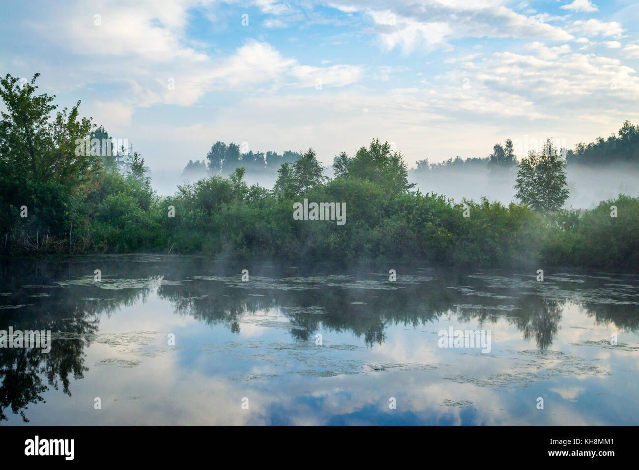 blue sky and foggy lake forest Stock Photo - Alamy