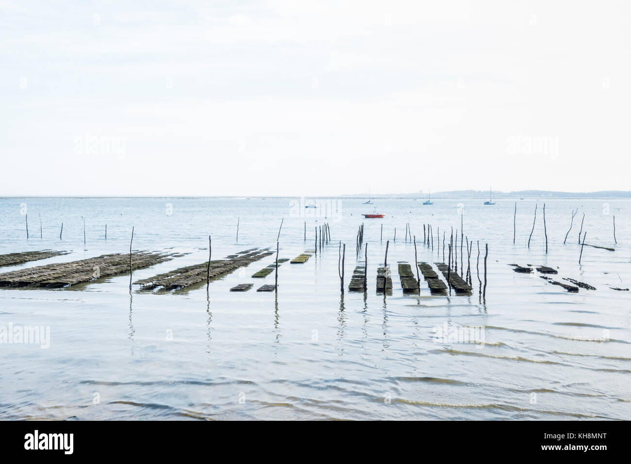 Oyster farm of Herbe village, Cap Ferret, Bassin d'Arcachon, Gironde