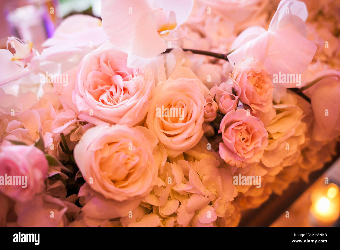 bunch of pink roses piled Stock Photo Alamy