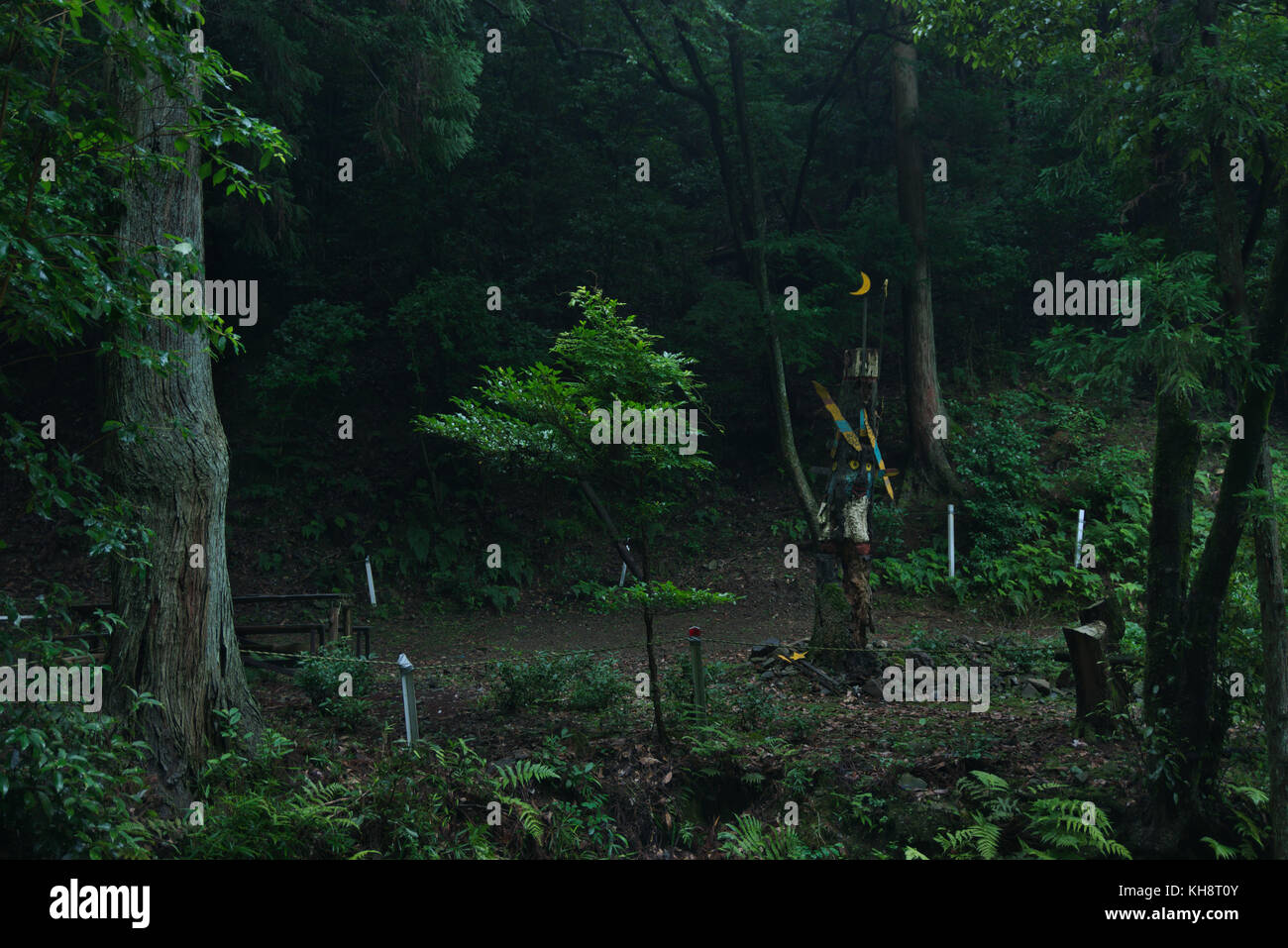 A creepy carving made on a dead tree trunk in the woods Stock Photo