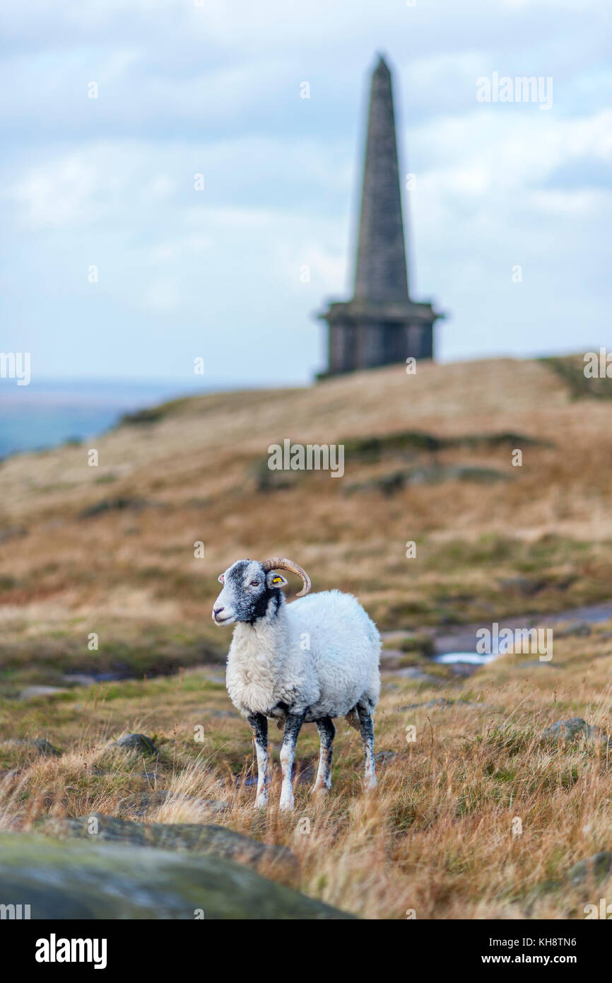 stoodley pike monument calderdale Stock Photo