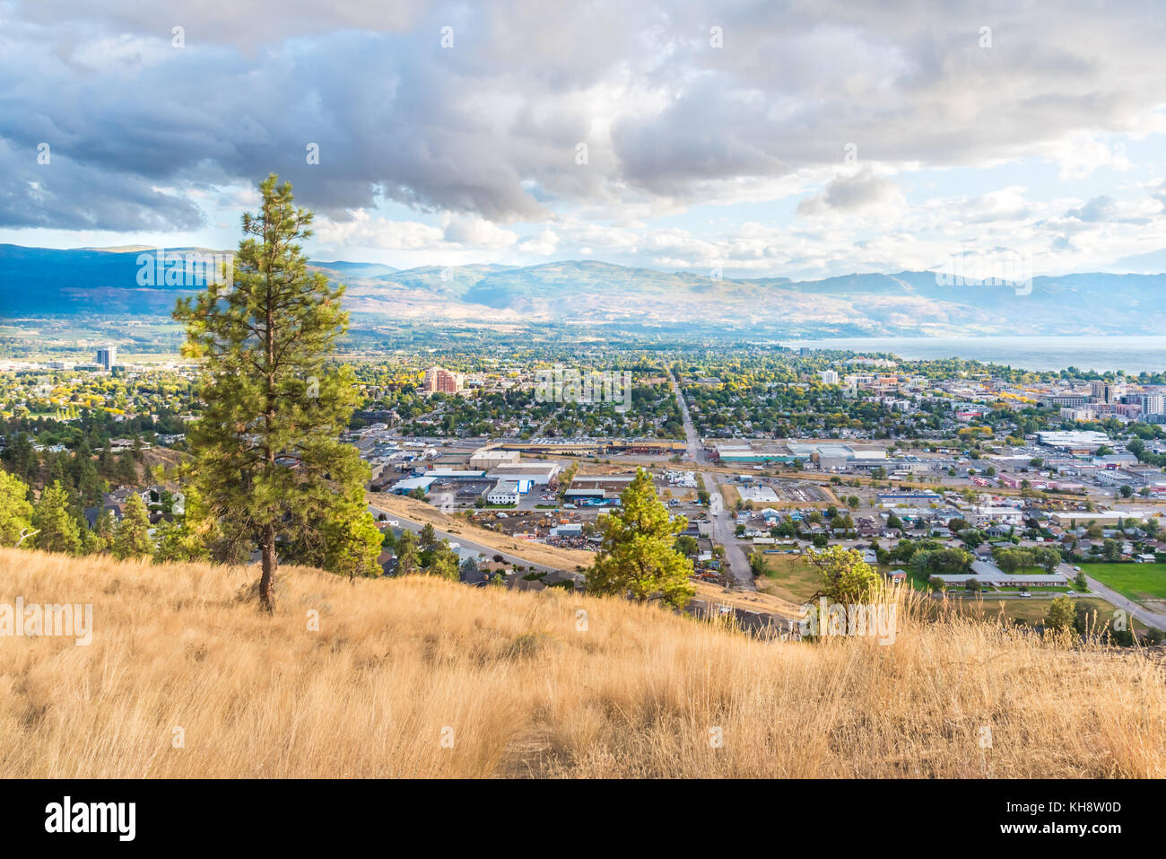 Ponderosa pine trees and grasses on Knox Mountain with view of city of