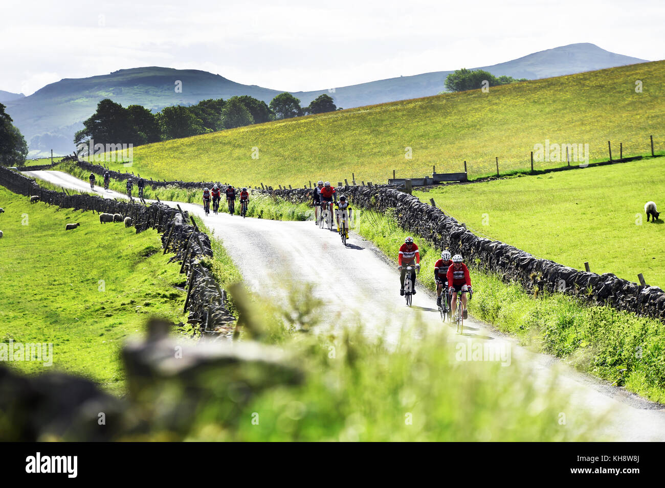 Cyclists cycling in a sportive along a country lane near Eshton, Yorkshire Dales UK Stock Photo