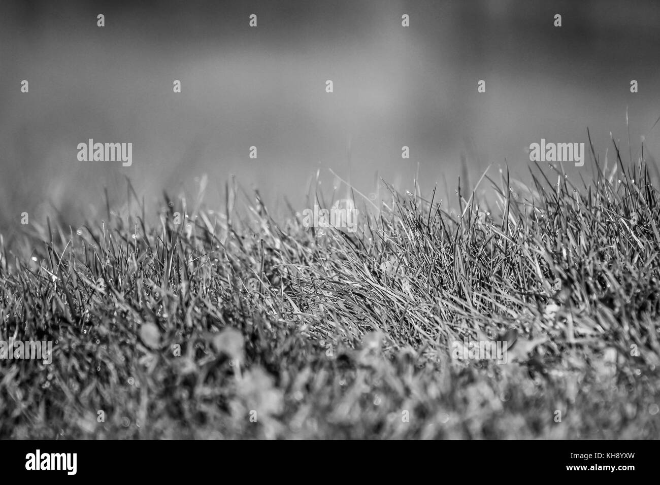 Edge of the slope hires stock photography and images Alamy