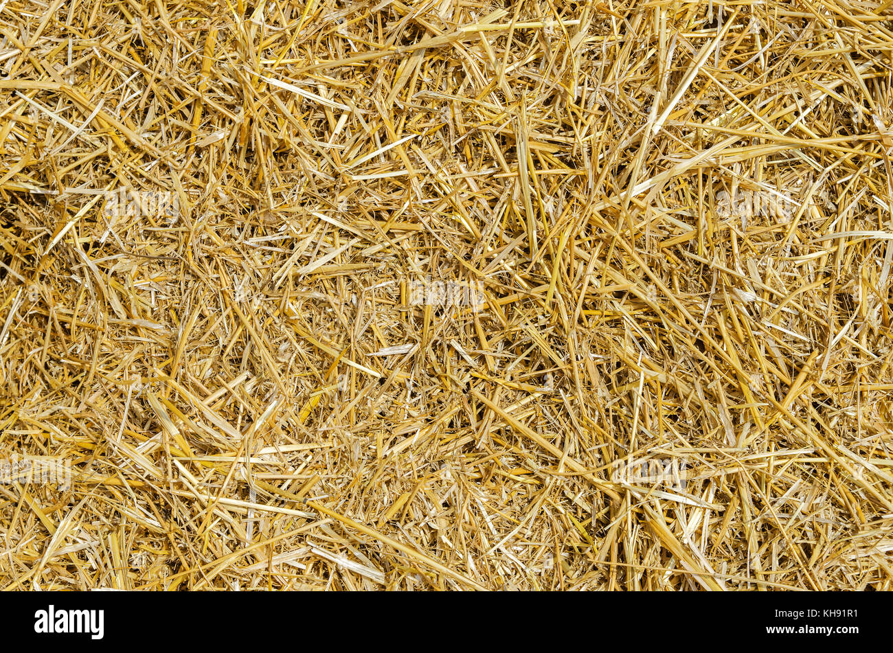 straw as textured background Stock Photo - Alamy