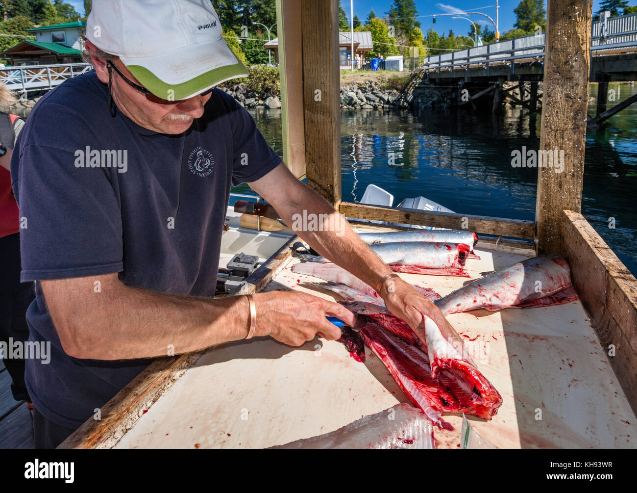 Mature man gutting fish at marina in Quathiaski Cove on Quadra Island, Vancouver Island area, British Columbia, Canada Stock Photo