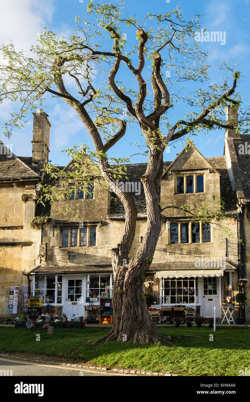 Cotswold stone buildings and shops in historic Cotswolds village in