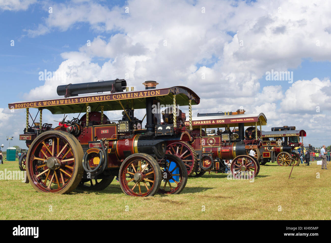 A line up of old restored steam Showmans locomotives at an English show in Gloucestershire England UK Stock Photo