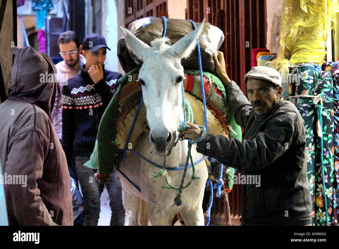 Fez, Morocco - November 8, 2017: Donkey carrying a heavy load of bags inside the Fez medina Stock Photo