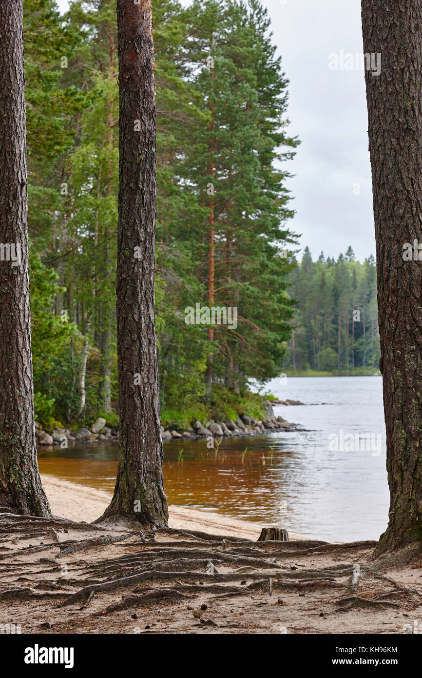 Helvetinjarvi National Park High Resolution Stock Photography And 