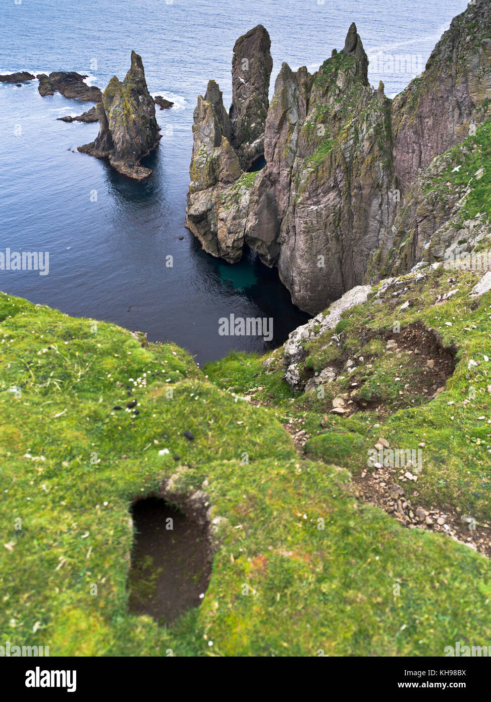 dh  WEST COAST FAIR ISLE cliffs rabbit puffin hole cliff top edge rock sea Stock Photo
